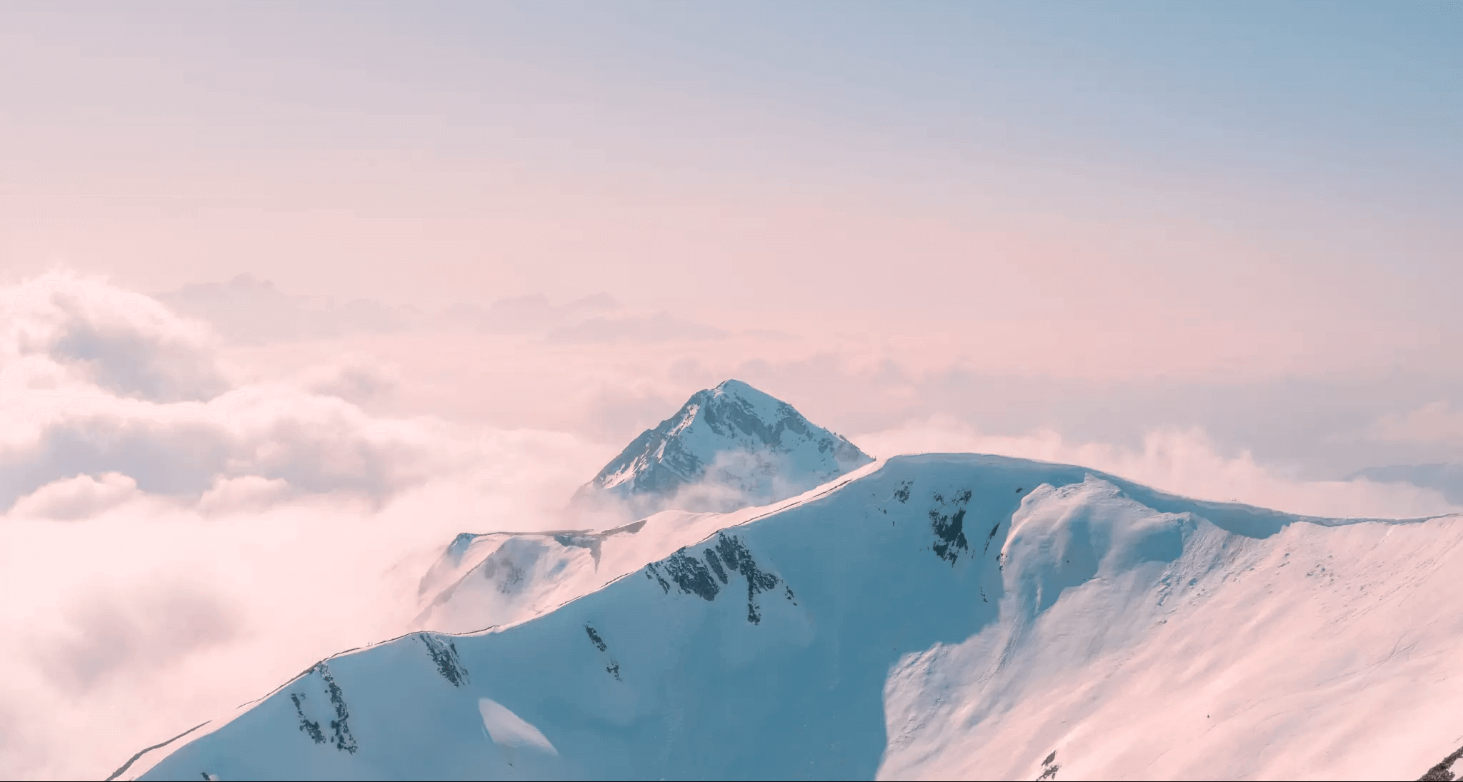 Linux MySQL 数据库定时备份