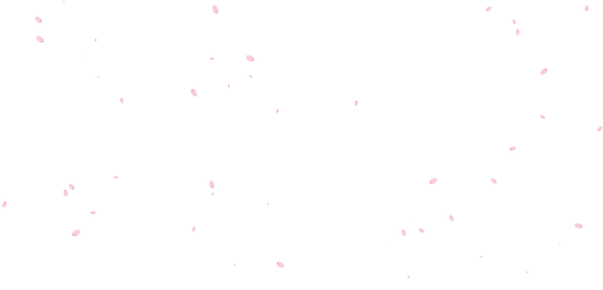 网页中樱花飘落和雪花飘落特效